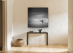 Bare Trees Adrift landscape canvas print on the wall of a hallway