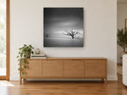 Bare Trees Adrift landscape canvas print on the wall of a living room above a sideboard