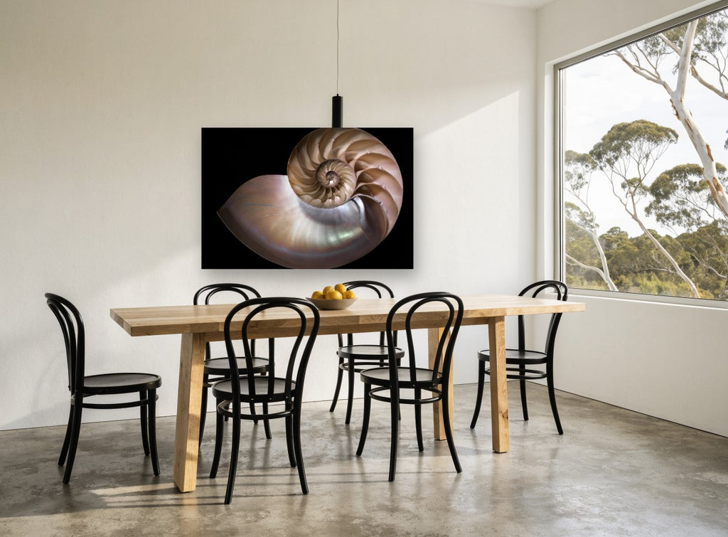 Nautilus Cross Section coastal canvas print on the wall of a dining room
