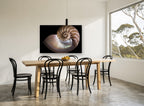 Nautilus Cross Section coastal canvas print on the wall of a dining room