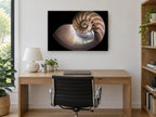 Nautilus Cross Section coastal canvas print on the wall of a study