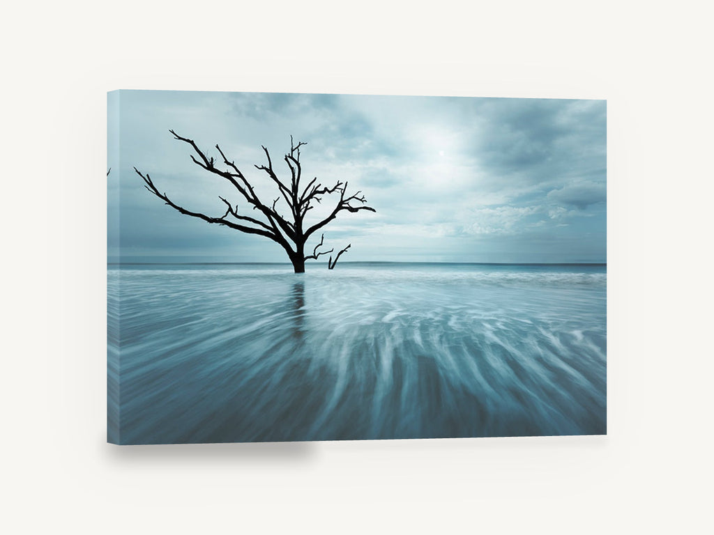 Bare Tree in Blue Tide, bare tree seascape blue photograph, floral canvas wall art print ready to hang