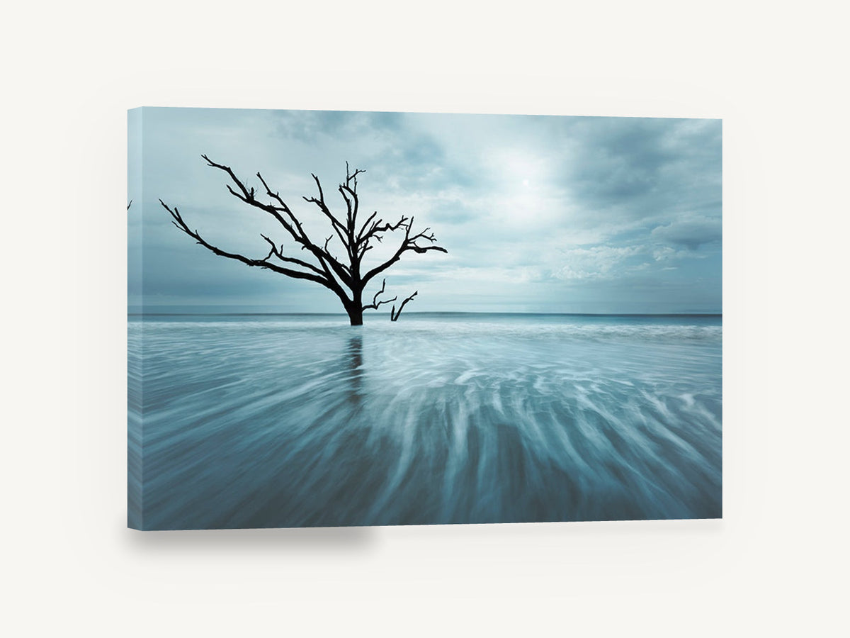Bare Tree in Blue Tide, bare tree seascape blue photograph, floral canvas wall art print ready to hang