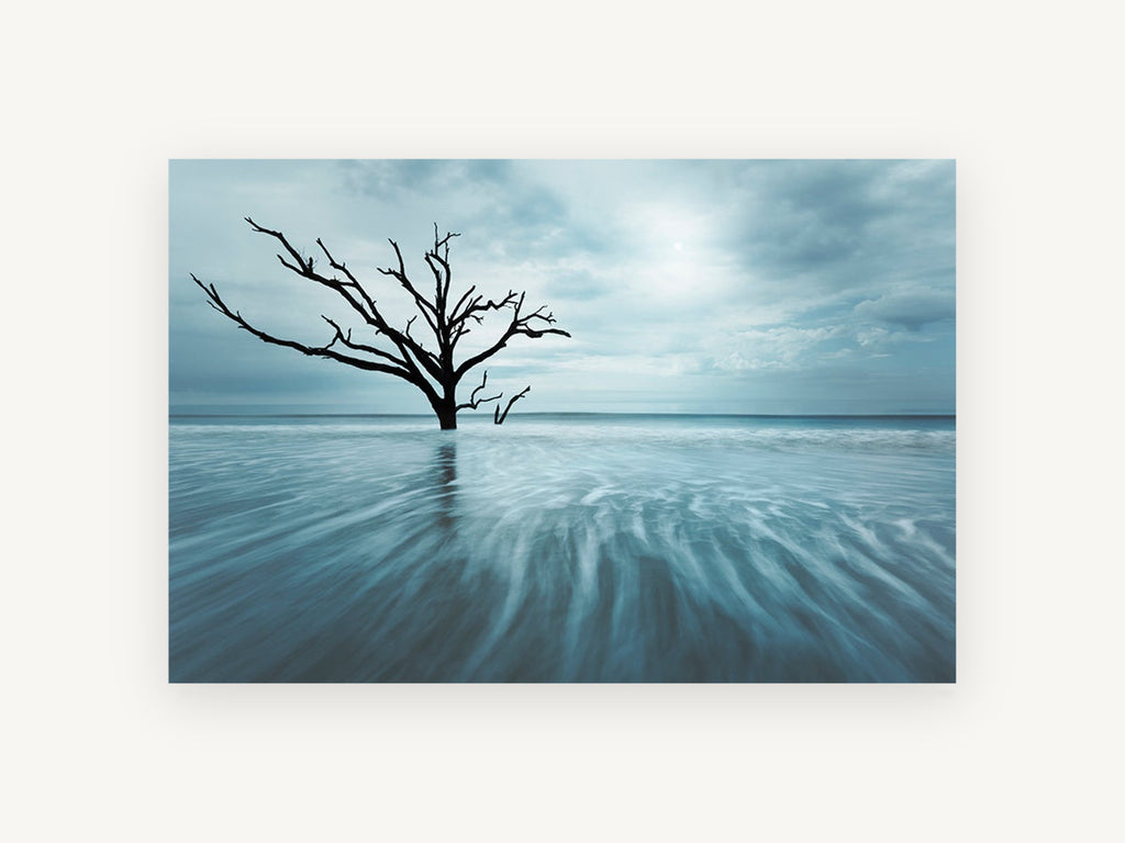 Bare Tree in Blue Tide, floral canvas wall art print, front view