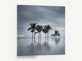 Still Water Palms, palm trees reflection black and white photograph, coastal canvas wall art print ready to hang