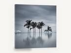 Still Water Palms, palm trees reflection black and white photograph, coastal canvas wall art print ready to hang