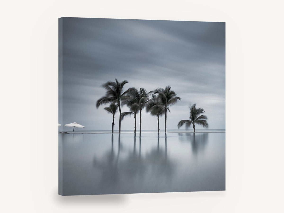 Still Water Palms, palm trees reflection black and white photograph, coastal canvas wall art print ready to hang