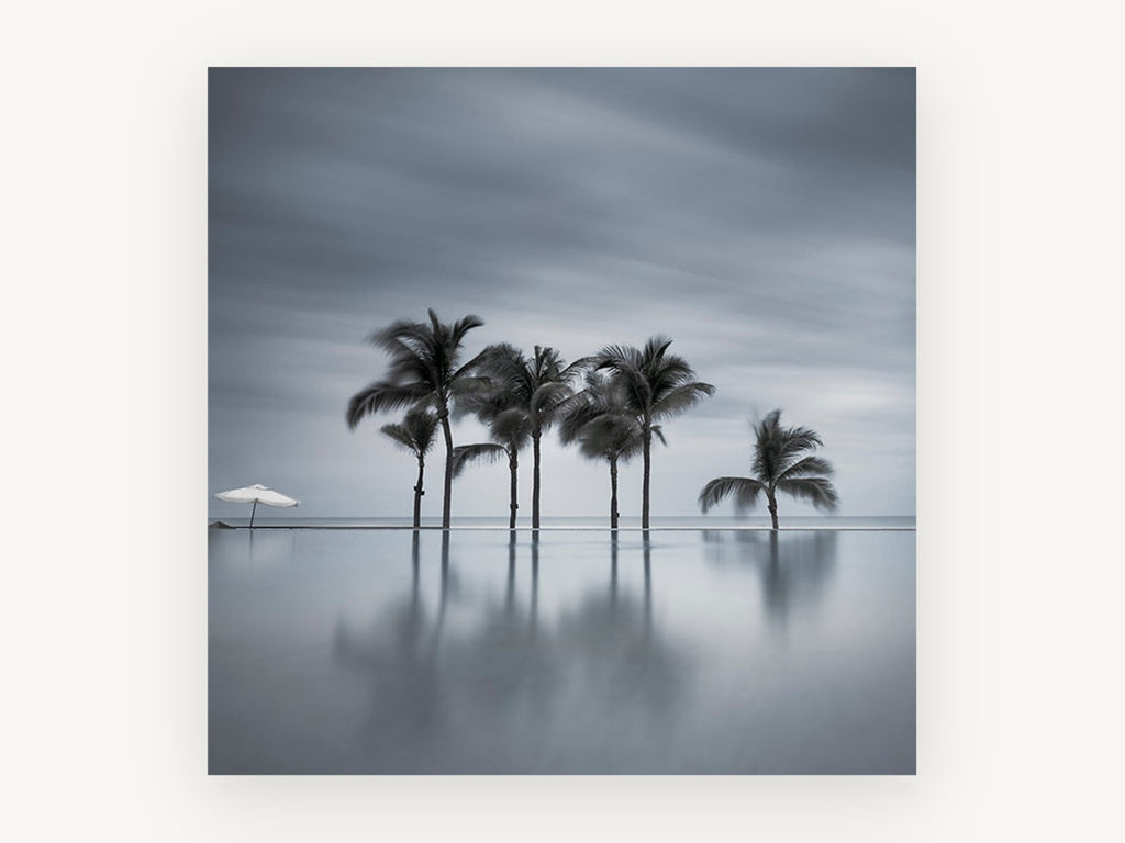 Still Water Palms, coastal canvas wall art print, front view