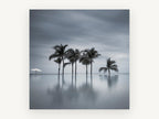 Still Water Palms, coastal canvas wall art print, front view
