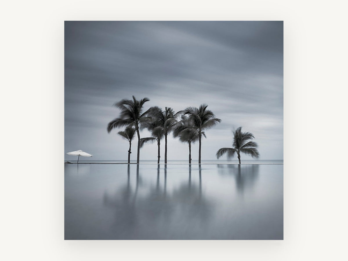 Still Water Palms, coastal canvas wall art print, front view