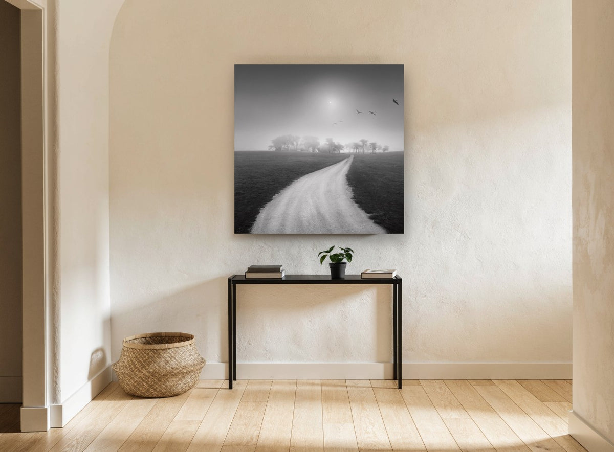 Foggy Path to Cypress landscape canvas print on the wall of a hallway