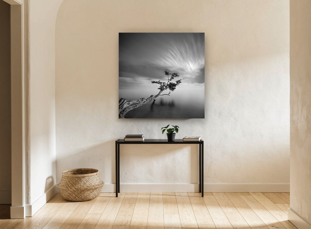 Leaning Tree Stillness coastal canvas print on the wall of a hallway