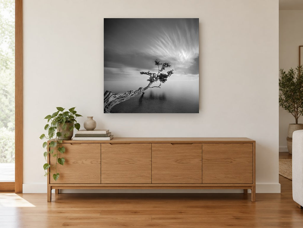 Leaning Tree Stillness coastal canvas print on the wall of a living room above a sideboard