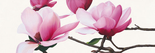 Magnolia Wall Art Print