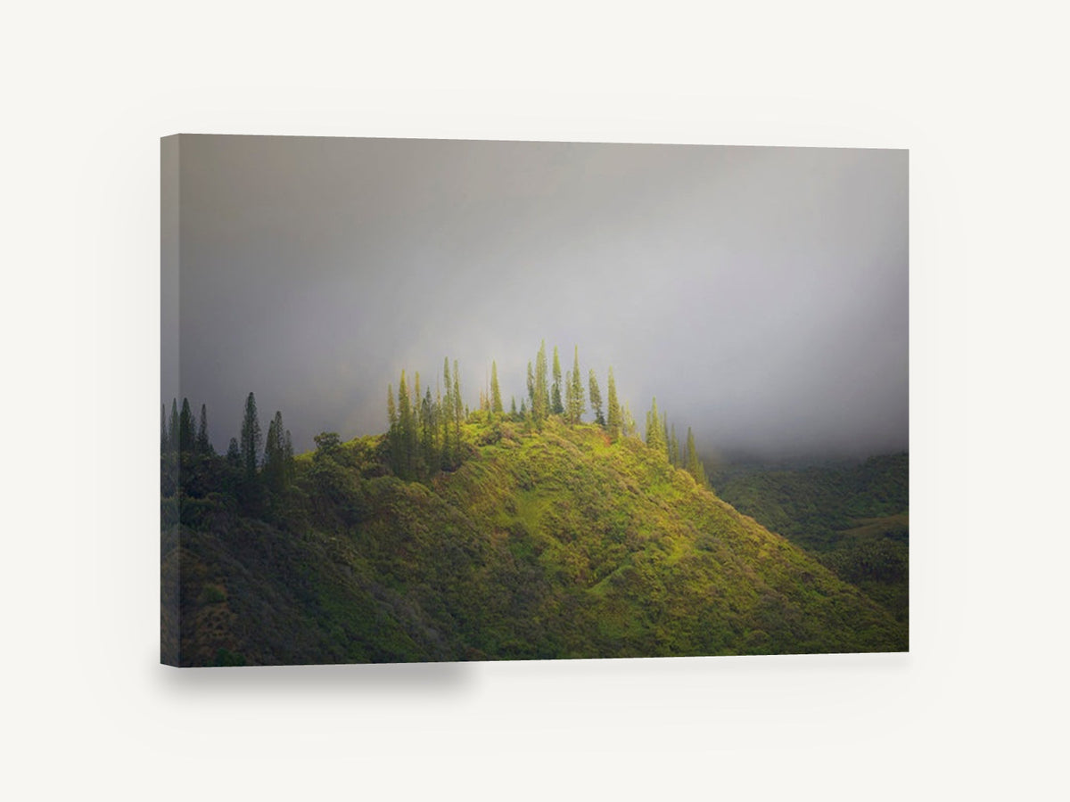 Pines on the Ridge, misty green hilltop pines photograph, landscape canvas wall art print ready to hang