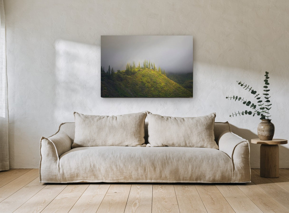 Pines on the Ridge landscape canvas print on the wall of a living room