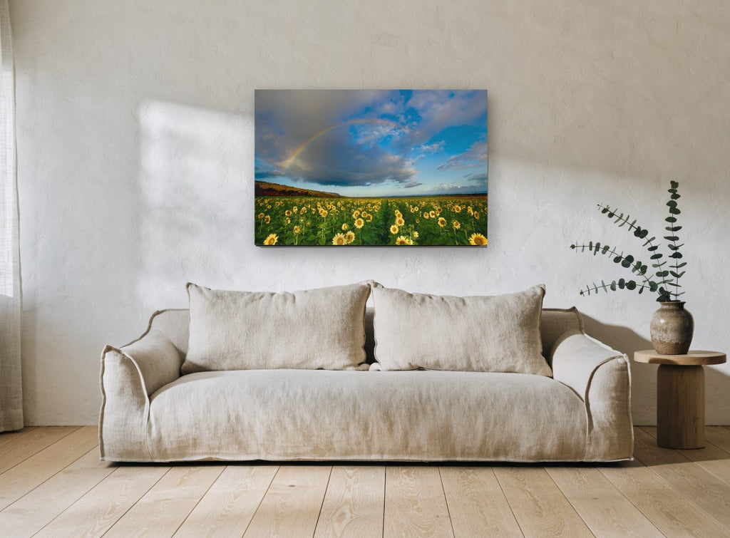 Rainbow Over Sunflowers floral canvas print on the wall of a living room