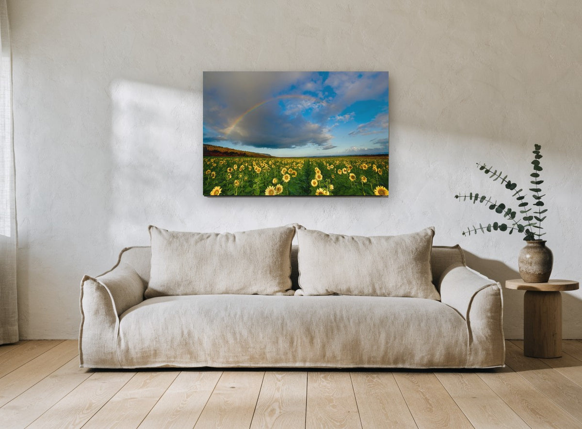 Rainbow Over Sunflowers floral canvas print on the wall of a living room