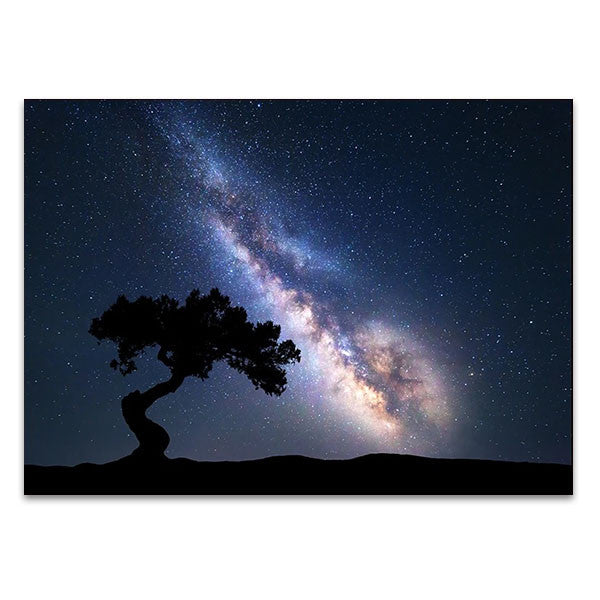 Milky Way at Night Wall Art Print