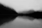 Mist on the Lake Wall Art Print