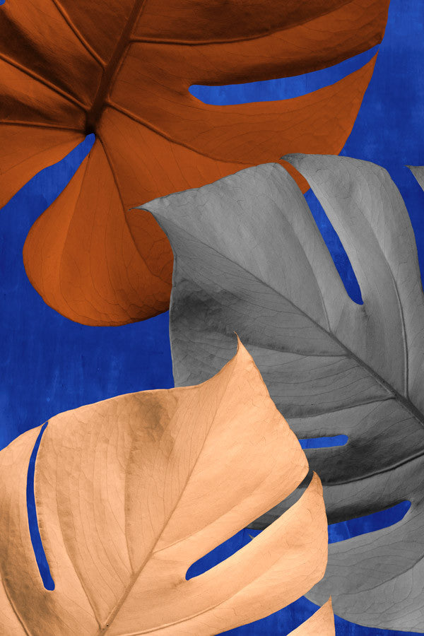 Monstera III Wall Art Print