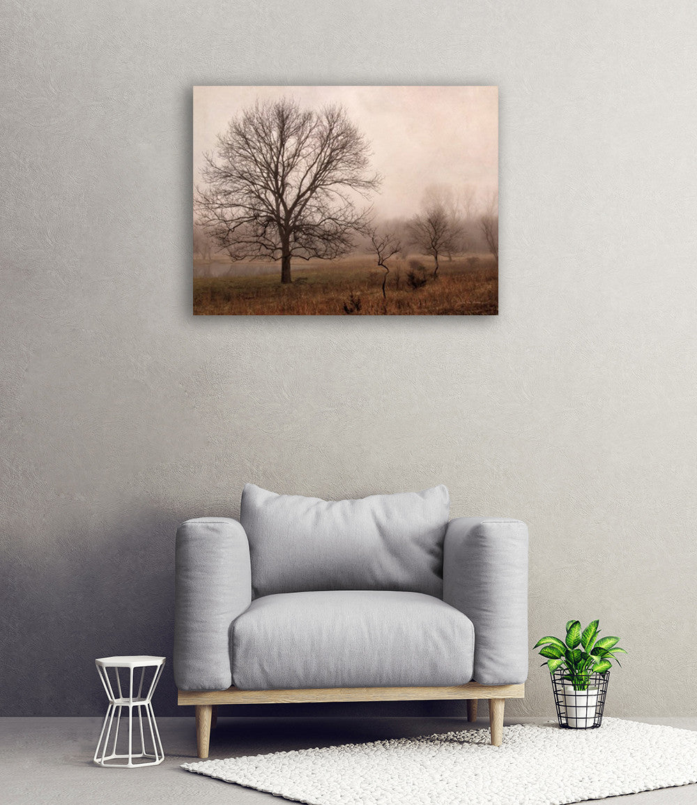 Morning Calm IV Wall Art Print on the wall