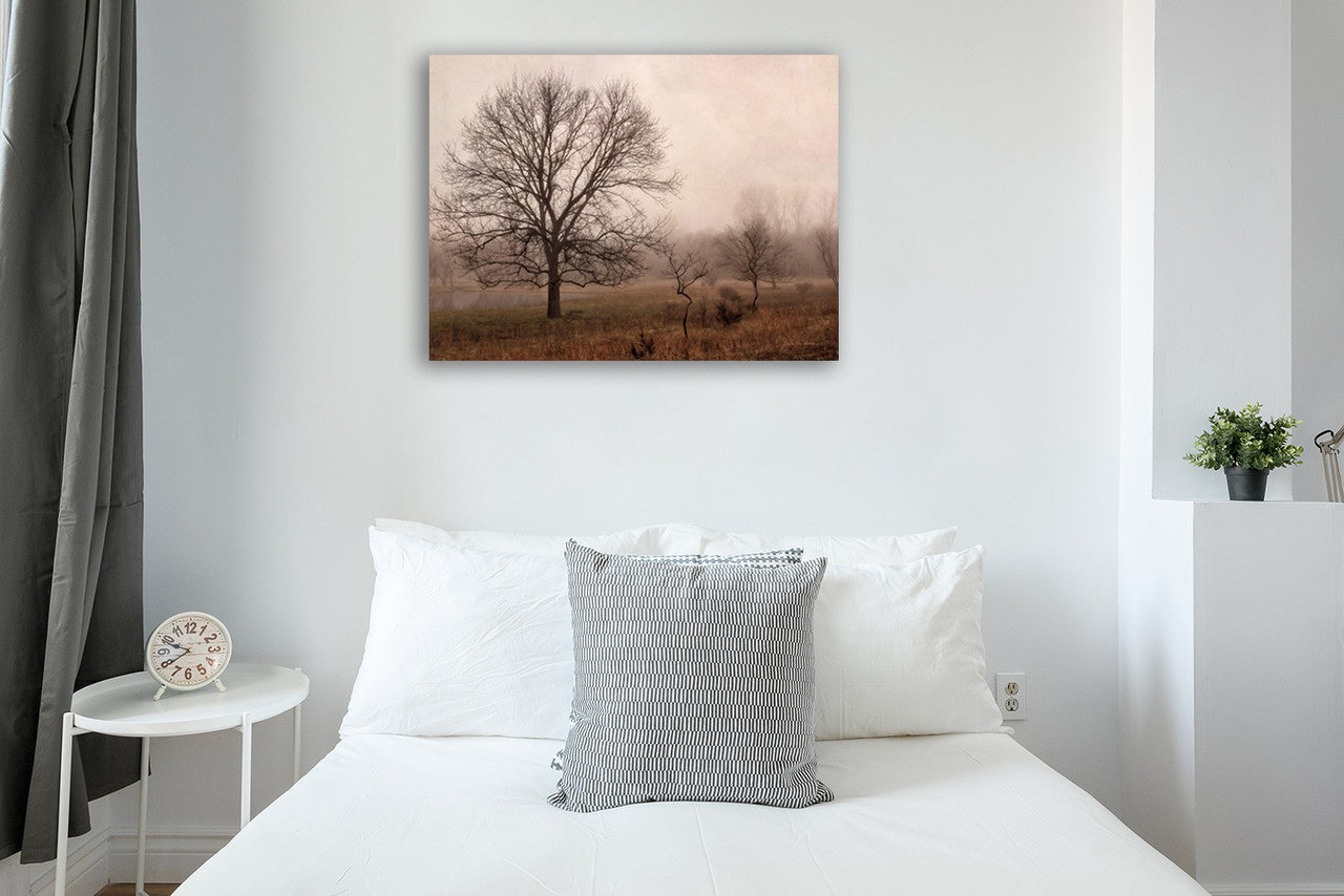 Morning Calm IV Wall Art Print on the wall