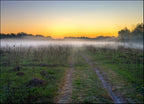 Morning Mist Wall Art Print