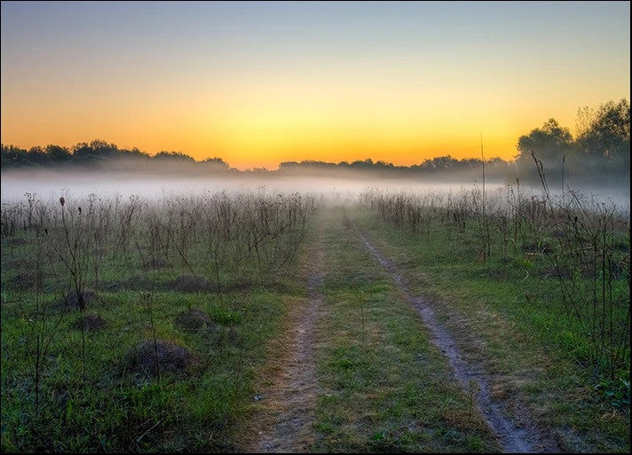 Morning Mist Wall Art Print