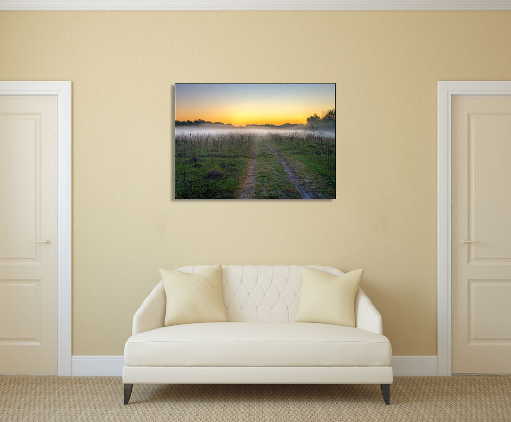 Morning Mist Wall Art Print on the wall