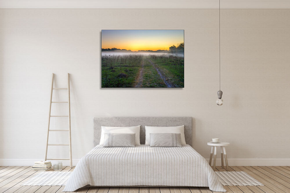 Morning Mist Wall Art Print on the wall