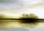 Morning Wall Art Print