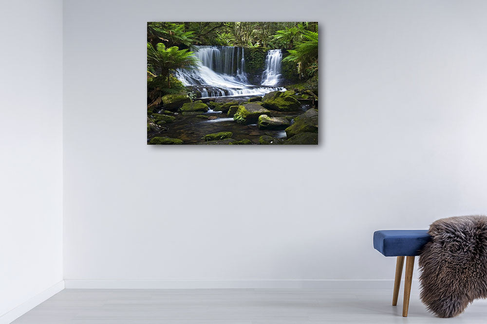 Mount Field National Park Australia Wall Print on the wall