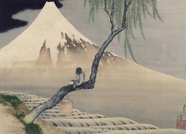 Mount Fuji View Wall Art Print