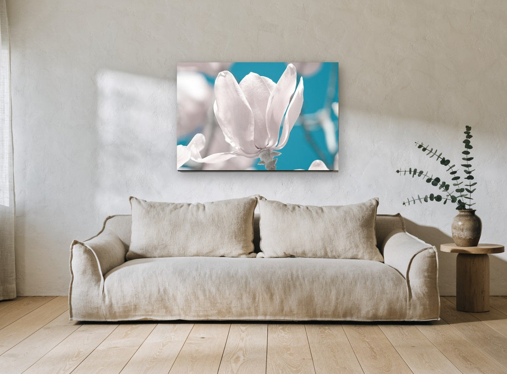 White Magnolia Against Teal floral canvas print on the wall of a living room
