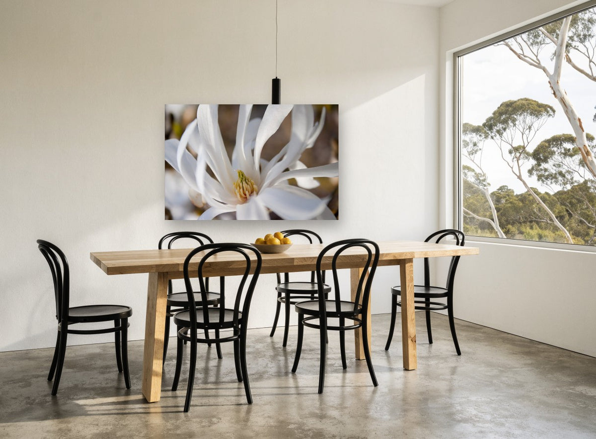 White Star Magnolia floral canvas print on the wall of a dining room