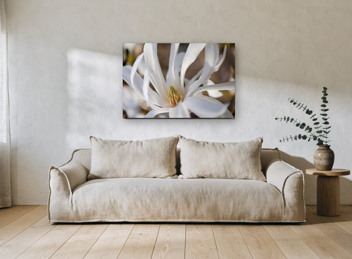 White Star Magnolia floral canvas print on the wall of a living room