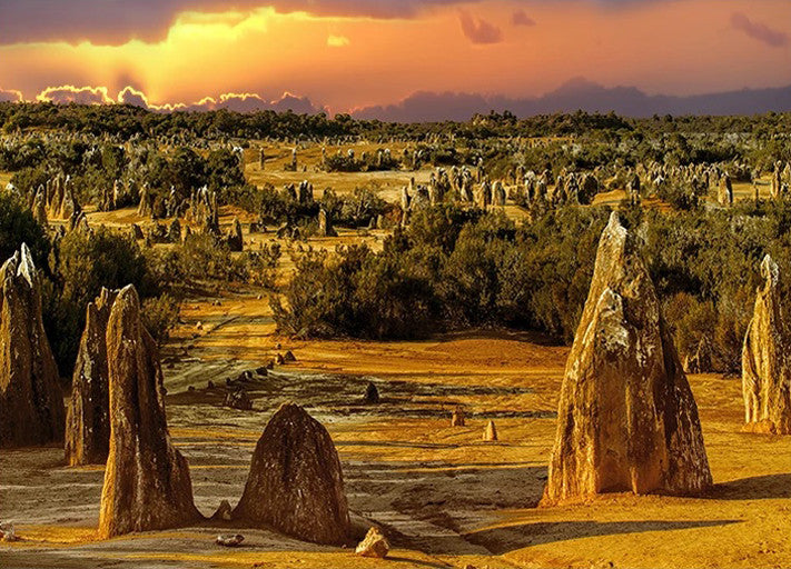 Nambung National Park Wall Art Print
