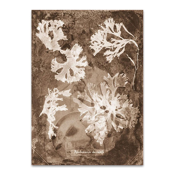 Natural Forms Sepia I Wall Print