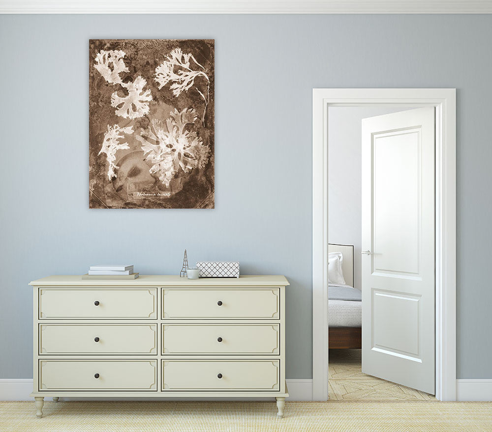Natural Forms Sepia I Wall Print on the wall