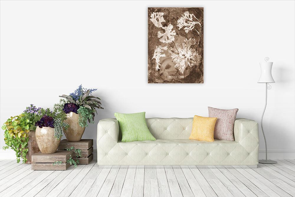 Natural Forms Sepia I Wall Print on the wall