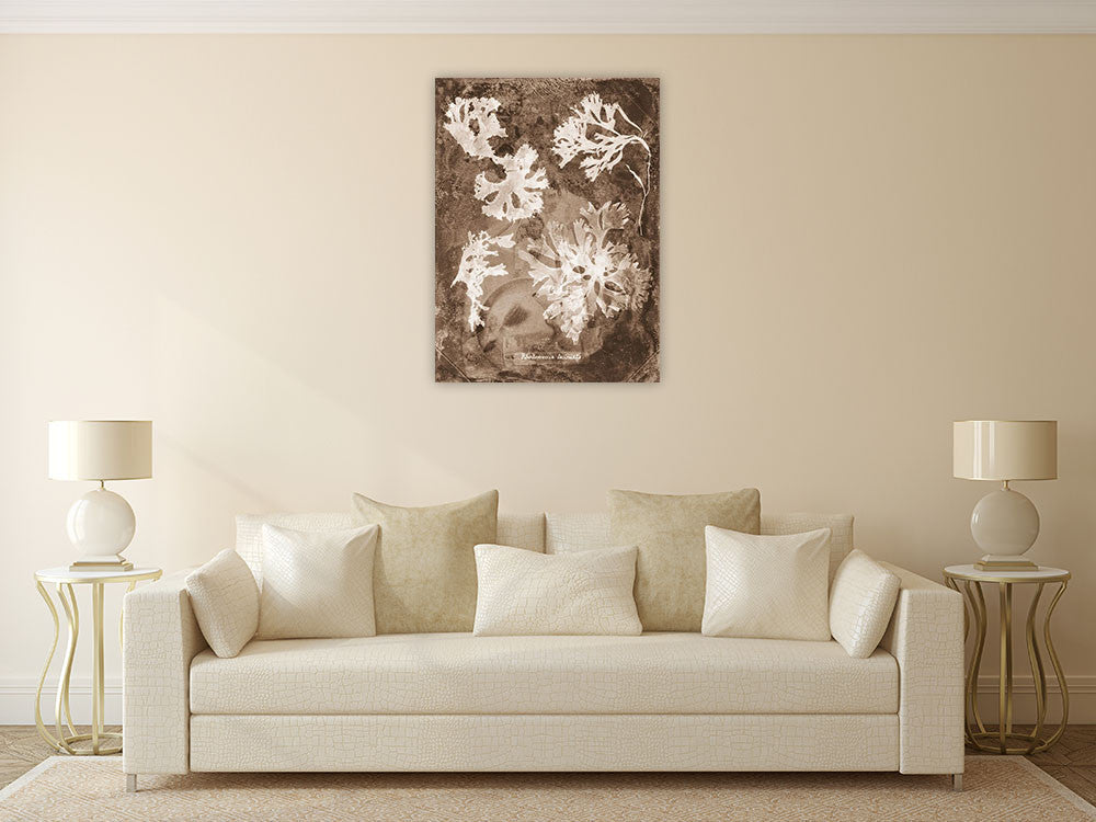 Natural Forms Sepia I Wall Print on the wall