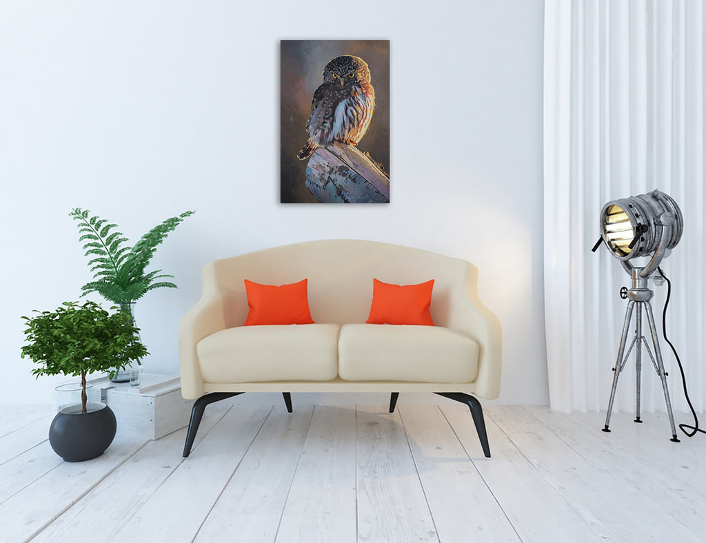 Northern Pygmy Owl Wall Art Print on the wall