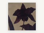 Aubergine Orchid Silhouette, floral canvas wall art print, front view