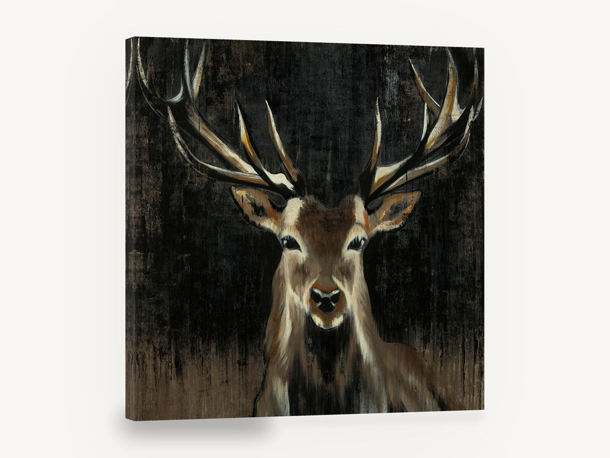 Stag in the Dark, red deer stag portrait artwork, animal canvas wall art print ready to hang