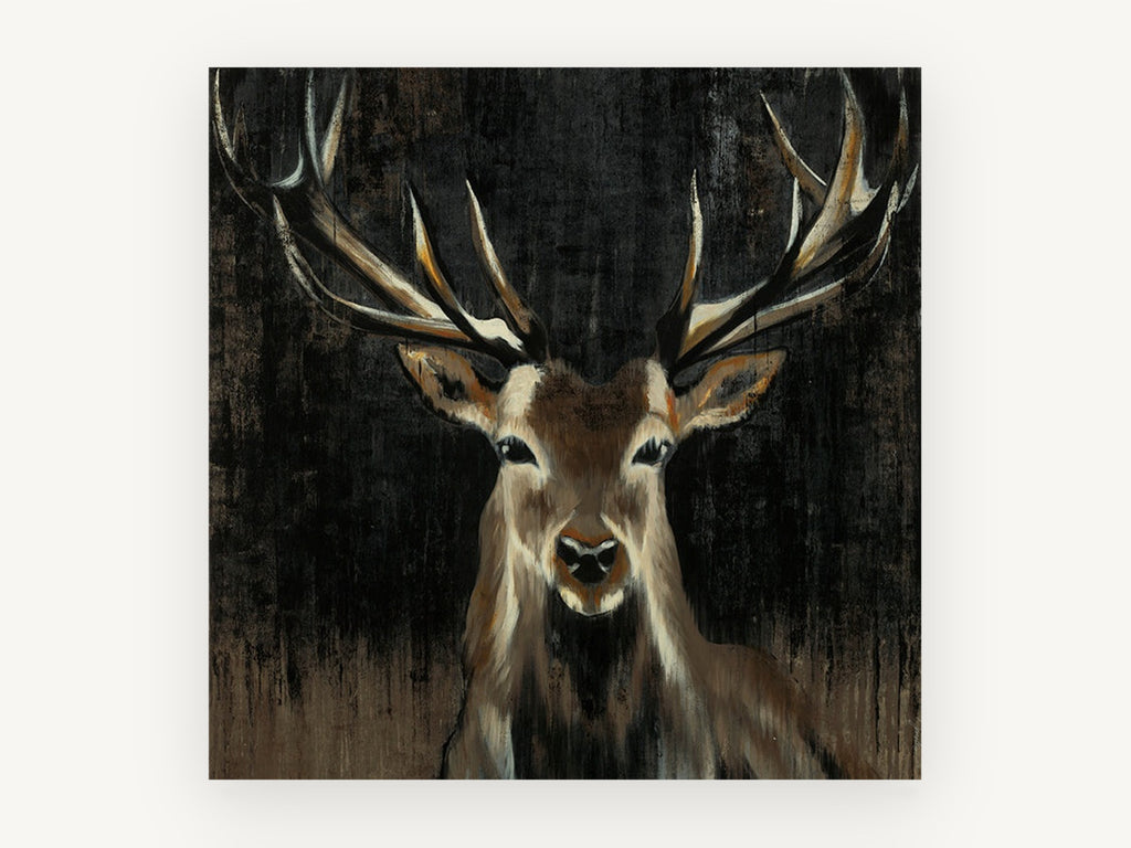 Stag in the Dark, red deer stag portrait artwork, animal canvas wall art print, front view