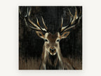 Stag in the Dark, red deer stag portrait artwork, animal canvas wall art print, front view