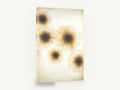 Golden Starburst Cluster, gold starburst abstract burst art, floral canvas wall art print ready to hang