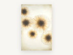 Golden Starburst Cluster, floral canvas wall art print, front view