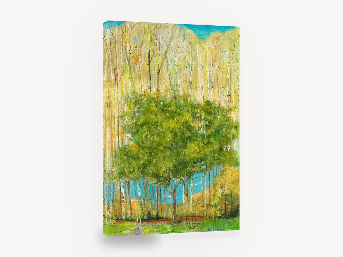 Green Canopy Birch Grove, green tree birch forest landscape painting, floral canvas wall art print ready to hang